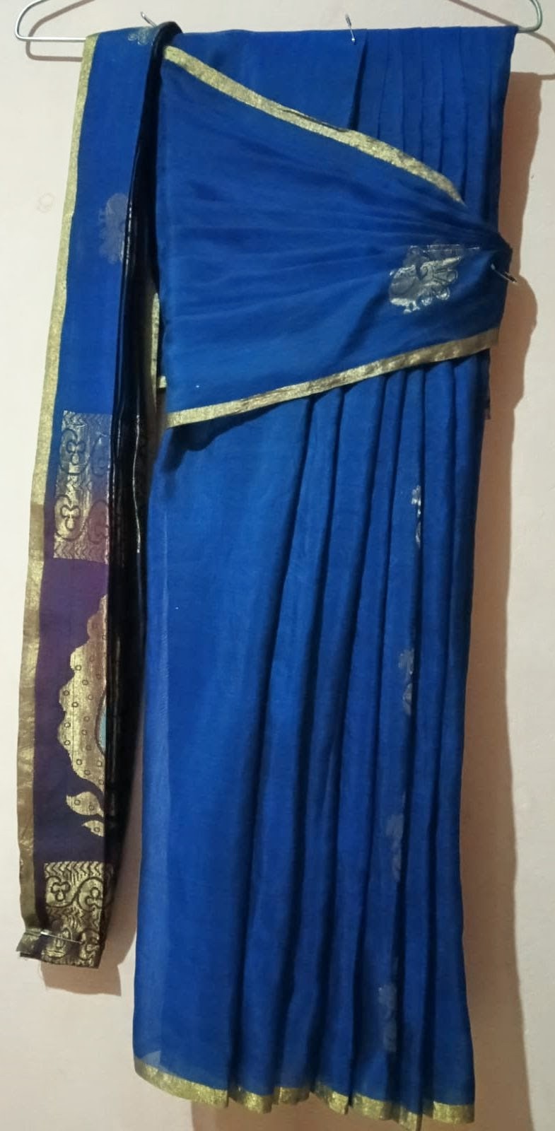 Fluffy Pleat Saree 3